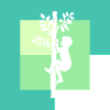 Tree climbing equipment