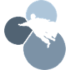 Wingsuit Accident Stuntman