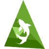 Koi Pond Fish Head