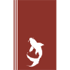 Koi Fish Fish Head