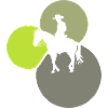 Cowboy Western Rodeo