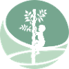 Climber Climbing Monkey