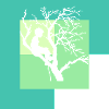 Kletteraffe Baumklettern