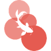 Koi Japan
