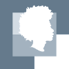 Soul Afro