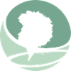 Soul Afro Groove