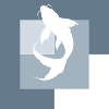 Koi