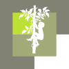 Climber equipment