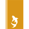 Koi Fish Head Fish