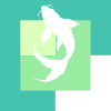 Poisson de pêche Koi