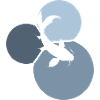 Koi Fisch