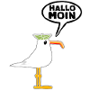 Hello Moin
