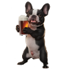 Frenchie Bier