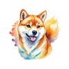 Shiba Inu Aquarelles