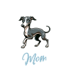 Italian Greyhound Mama