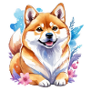 Shiba Inu Aquarelles
