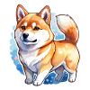 Aquarelles Shiba Inu