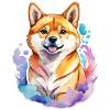Aquarelles Shiba Inu