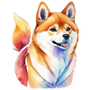Shiba Inu Aquarelles
