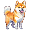 Aquarelles Shiba Inu