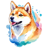 Shiba Inu Aquarelles