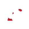 Boxer boxing