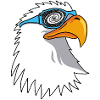 Eagle and Galactic Goggles