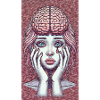 In my Mind