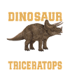 Triceratops Dinosaur Dinos Gift