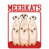 Suricates cool suricates