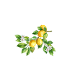 Marbella Holidays Spain Camping