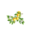 Valence Vacances Espagne Camping