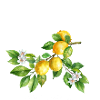 Vacances Sicile Camping Sicilia