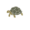 Turtle Sea Turtle Gift