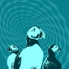 Puffin Gang