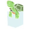 Turtle Sea Turtle Gift