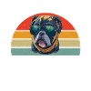 Cadeaux American Bully