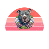 Cadeaux American Bully