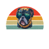 Cadeaux American Bully