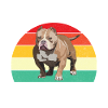 Cadeaux American Bully