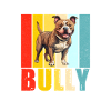 Cadeaux American Bully