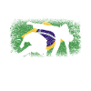 Brésil drapeau brésilien Capoeira