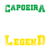 Brazil Capoeira legend