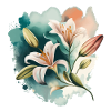 Lilies