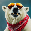 Cool Bear Shades