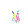 Hummingbird