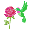 Hummingbird