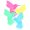 Hummingbird
