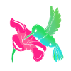 Hummingbird