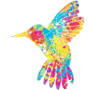 Hummingbird